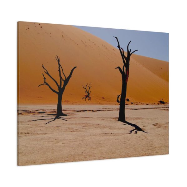 91637-1.jpg Desolate Trees in the Sandy Desert of Deadvlei Hiking Trail Standard Canvas