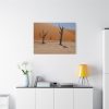 91637-2.jpg Desolate Trees in the Sandy Desert of Deadvlei Hiking Trail Standard Canvas