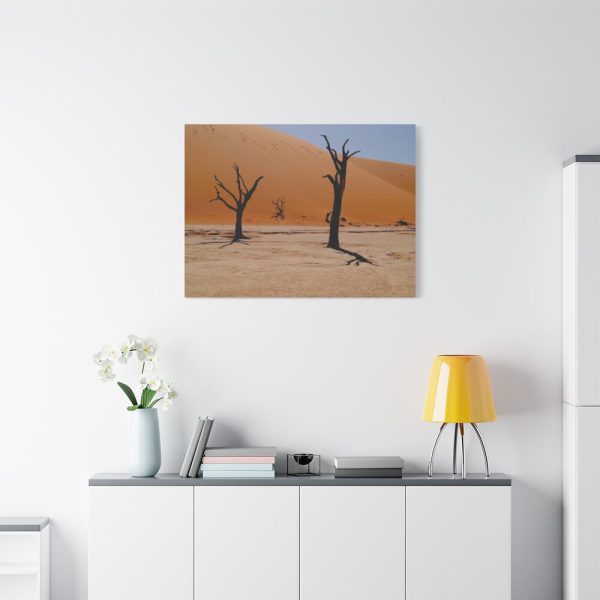 91637-2.jpg Desolate Trees in the Sandy Desert of Deadvlei Hiking Trail Standard Canvas