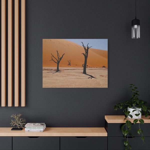 91637-3.jpg Desolate Trees in the Sandy Desert of Deadvlei Hiking Trail Standard Canvas