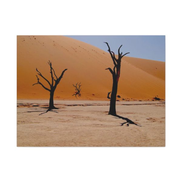 91637.jpg Desolate Trees in the Sandy Desert of Deadvlei Hiking Trail Standard Canvas