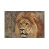 91638-1.jpg Beautiful Lion's Head Standard Canvas