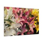 Lilies Flower  Standard Canvas