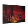 Butterfly on Nature Plant Grass Standard Canvas