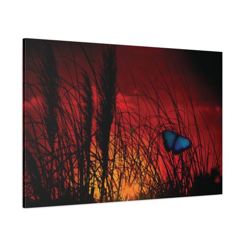 Butterfly on Nature Plant Grass Standard Canvas