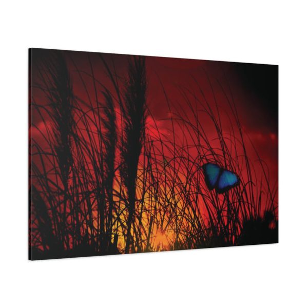 Butterfly on Nature Plant Grass Standard Canvas