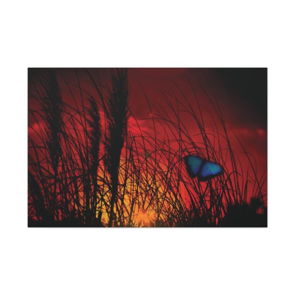 Butterfly on Nature Plant Grass Standard Canvas