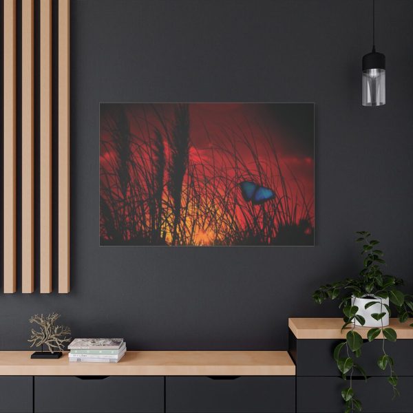 Butterfly on Nature Plant Grass Standard Canvas