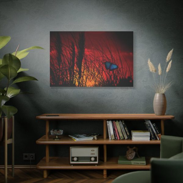 Butterfly on Nature Plant Grass Standard Canvas
