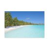 91638-1056.jpg Sunny Beach With Palm Tree Standard Canvas