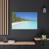 91638-1058.jpg Sunny Beach With Palm Tree Standard Canvas
