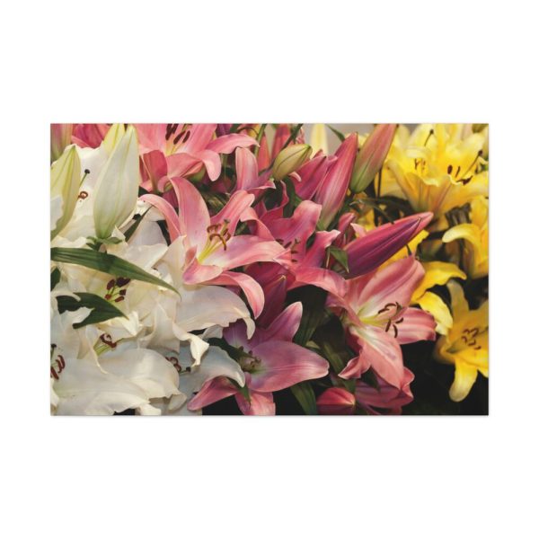Lilies Flower  Standard Canvas