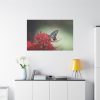 Butterfly on Red Flower Standard Canvas