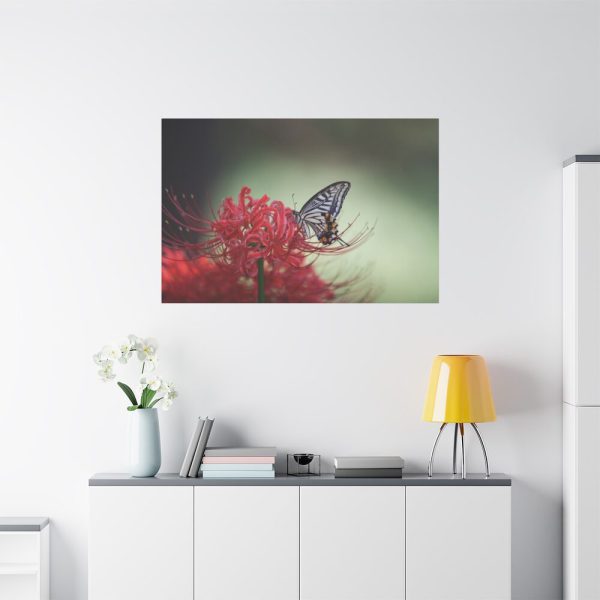 Butterfly on Red Flower Standard Canvas