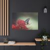 Butterfly on Red Flower Standard Canvas