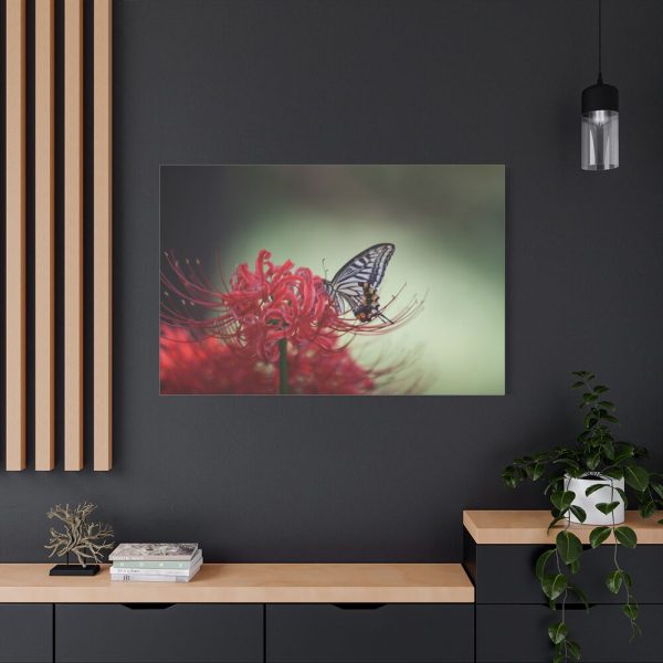 Butterfly on Red Flower Standard Canvas