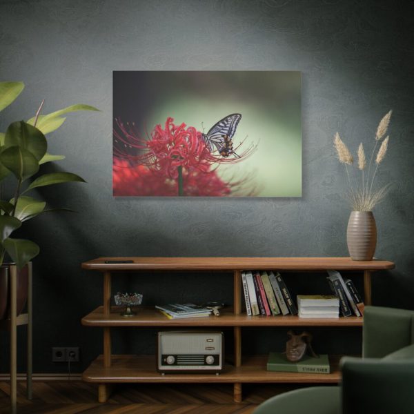 Butterfly on Red Flower Standard Canvas