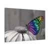 Colorful Butterfly on Flower Standard Canvas