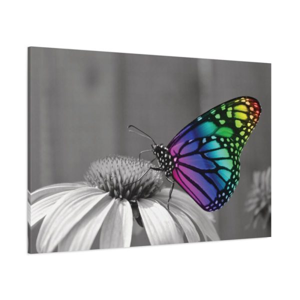 Colorful Butterfly on Flower Standard Canvas