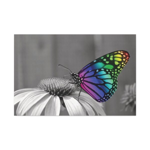 Colorful Butterfly on Flower Standard Canvas