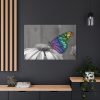Colorful Butterfly on Flower Standard Canvas