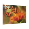 91638-125.jpg Butterfly on Orange Flower Standard Canvas