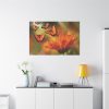 91638-127.jpg Butterfly on Orange Flower Standard Canvas
