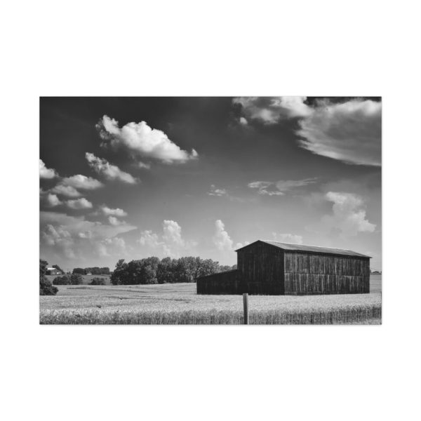 91638-1274.jpg Black and White Barn Standard Canvas