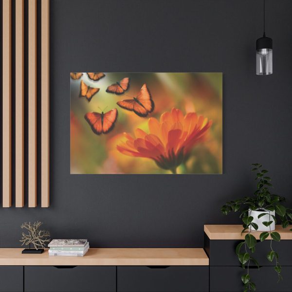 91638-128.jpg Butterfly on Orange Flower Standard Canvas