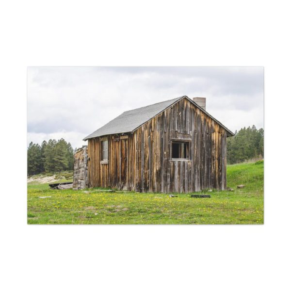91638-1284.jpg Old Cabin in Nature Standard Canvas