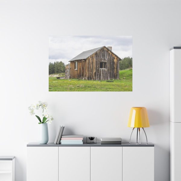 91638-1285.jpg Old Cabin in Nature Standard Canvas