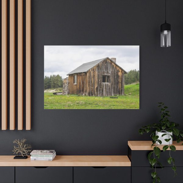 91638-1286.jpg Old Cabin in Nature Standard Canvas