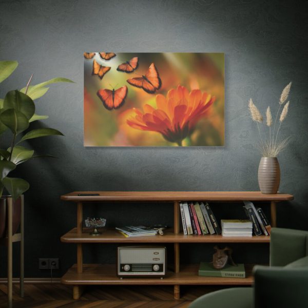 91638-129.jpg Butterfly on Orange Flower Standard Canvas