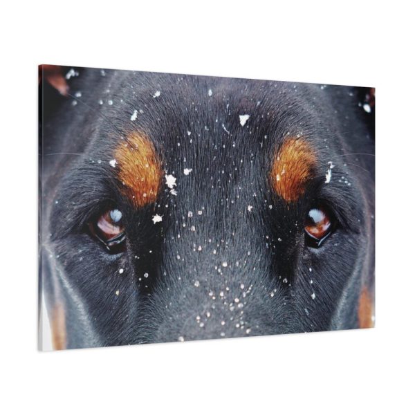 91638-135.jpg Eyes and Snowflakes Standard Canvas