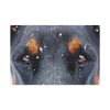 91638-136.jpg Eyes and Snowflakes Standard Canvas