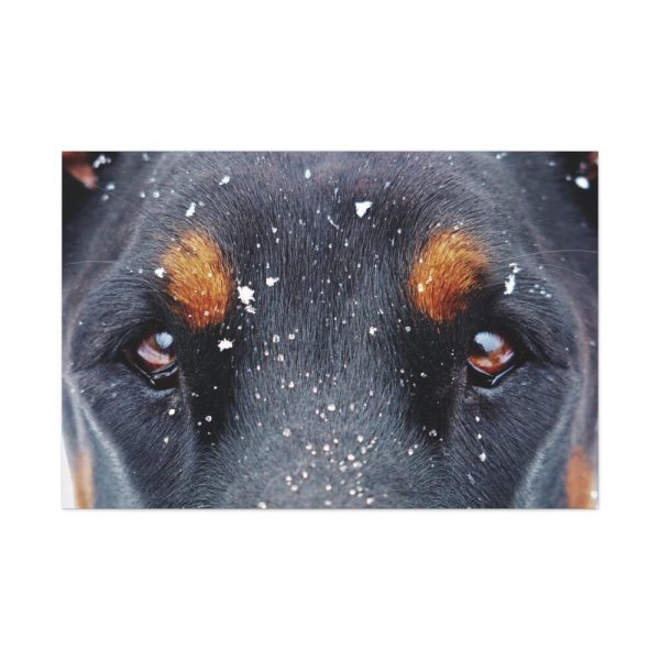 91638-136.jpg Eyes and Snowflakes Standard Canvas