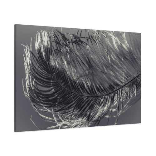 Bird Feather Standard Canvas