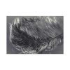 Bird Feather Standard Canvas