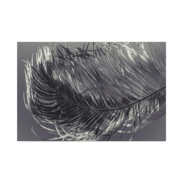 Bird Feather Standard Canvas