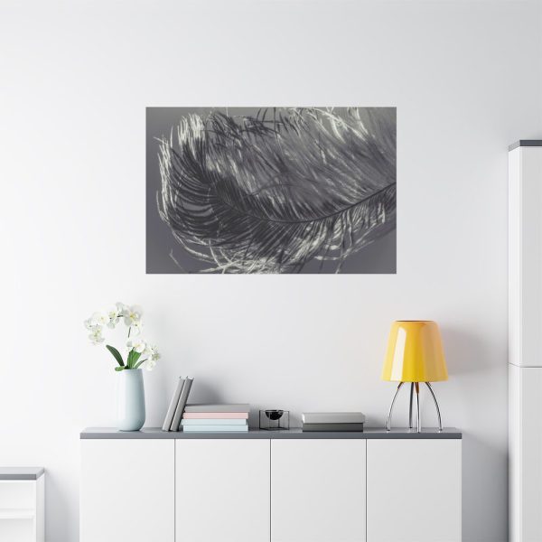 Bird Feather Standard Canvas