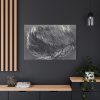 Bird Feather Standard Canvas