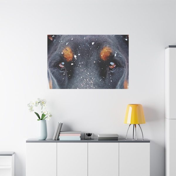 91638-137.jpg Eyes and Snowflakes Standard Canvas