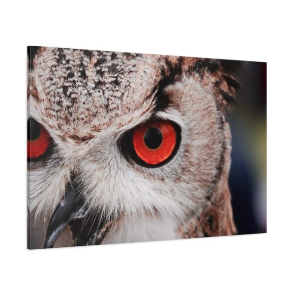 91638-1373.jpg Eye of Owl Standard Canvas