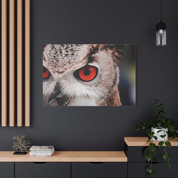 91638-1376.jpg Eye of Owl Standard Canvas
