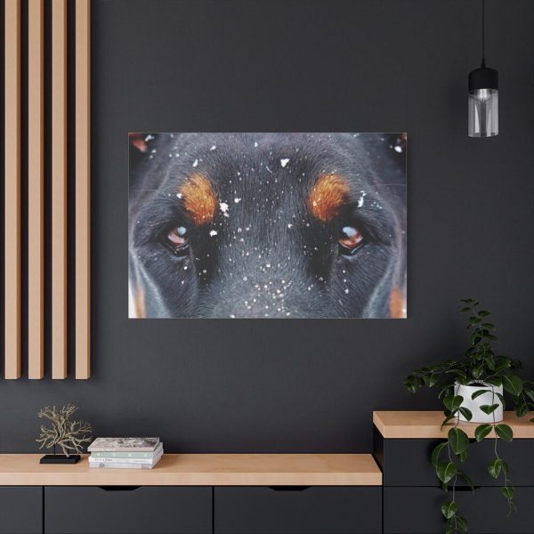 91638-138.jpg Eyes and Snowflakes Standard Canvas