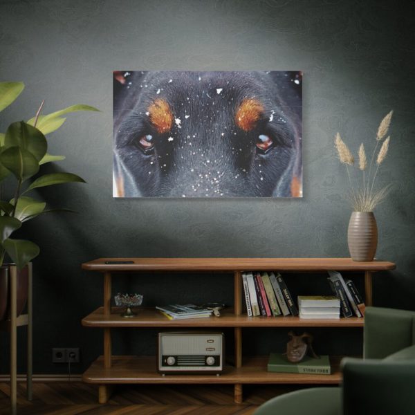 91638-139.jpg Eyes and Snowflakes Standard Canvas