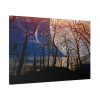 Full Moon and Forest Night Darkness Standard Canvas