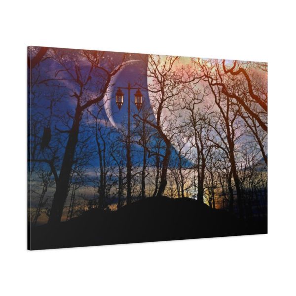 Full Moon and Forest Night Darkness Standard Canvas