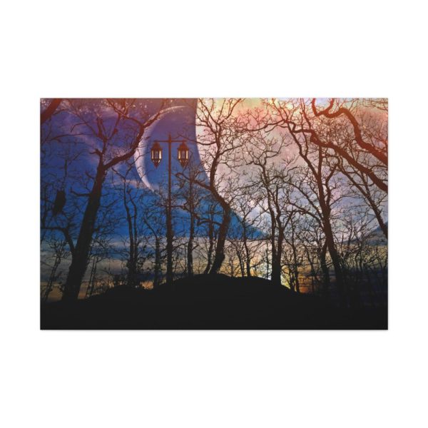 Full Moon and Forest Night Darkness Standard Canvas