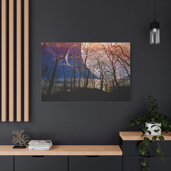 Full Moon and Forest Night Darkness Standard Canvas